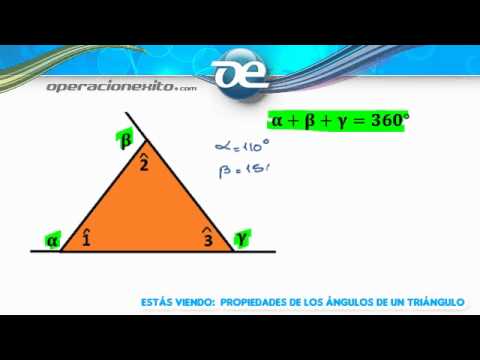 Ángulos de un triángulo: explicación y ejemplos