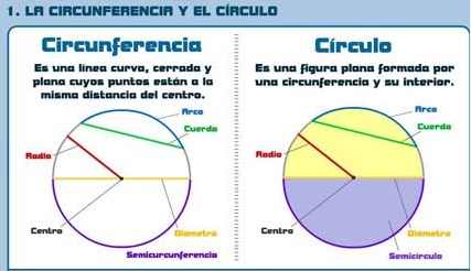 Circunferencia de un círculo: explicación y ejemplos