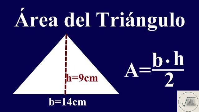 Área del triángulo: explicación y ejemplos
